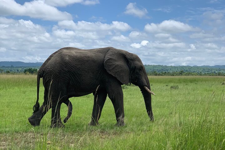 From Dar es Salaam: 2 - Days Mikumi National Park Private Safari