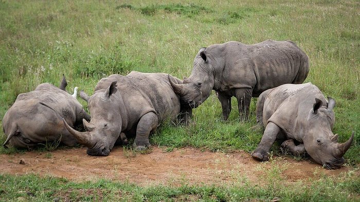 From Dar es Salaam: 2 - Days Mikumi National Park Private Safari