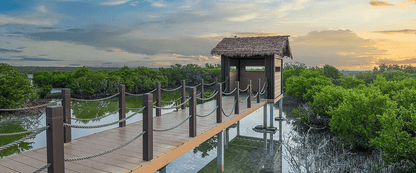 From Doha: Al Khor, Al Thakhira Mangroves, and Al Zubara Fort Day Trip