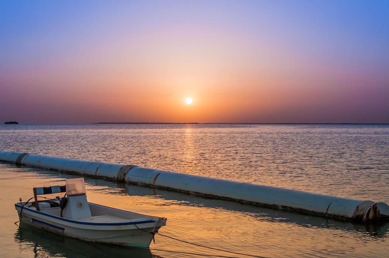 From Doha: Al Khor, Al Thakhira Mangroves, and Al Zubara Fort Day Trip