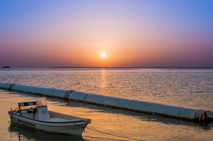From Doha: Al Khor, Al Thakhira Mangroves, and Al Zubara Fort Day Trip
