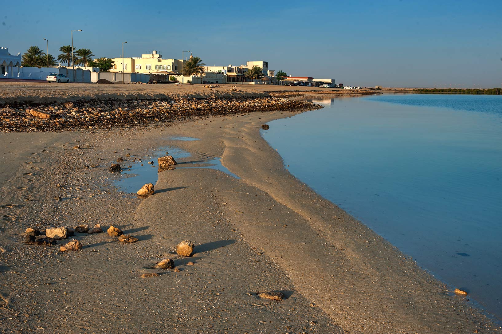 From Doha: Al Khor, Al Thakhira Mangroves, and Al Zubara Fort Day Trip