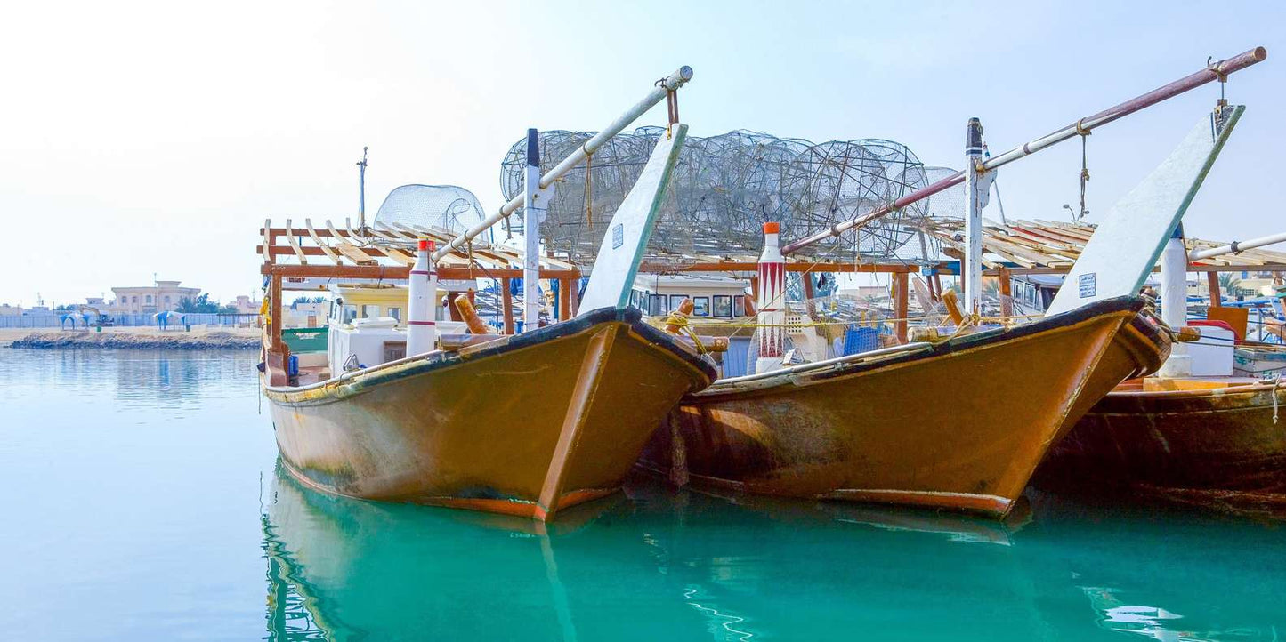 From Doha: Al Khor, Al Thakhira Mangroves, and Al Zubara Fort Day Trip