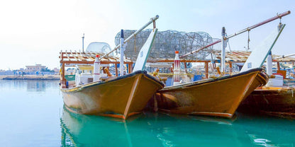 From Doha: Al Khor, Al Thakhira Mangroves, and Al Zubara Fort Day Trip