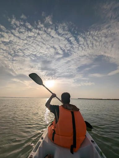 From Doha: Al Thakira Mangroves Kayaking and Purple Island Tour