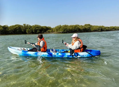 From Doha: Al Thakira Mangroves Kayaking and Purple Island Tour