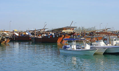 From Doha: Culture and History Tour of North and West Qatar