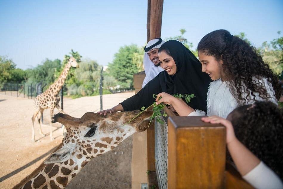 From Dubai: Al Ain Day Trip with Jebel Hafeet, Camel Market and Zoo