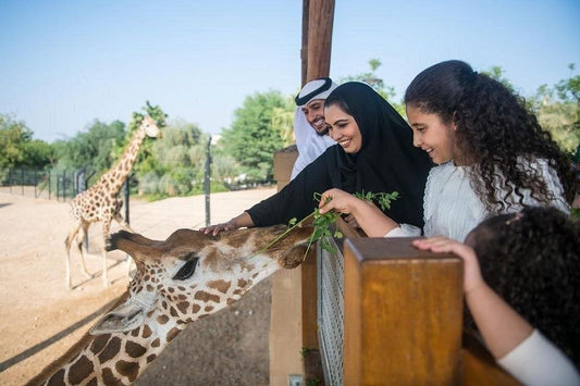 From Dubai: Al Ain Day Trip with Jebel Hafeet, Camel Market and Zoo