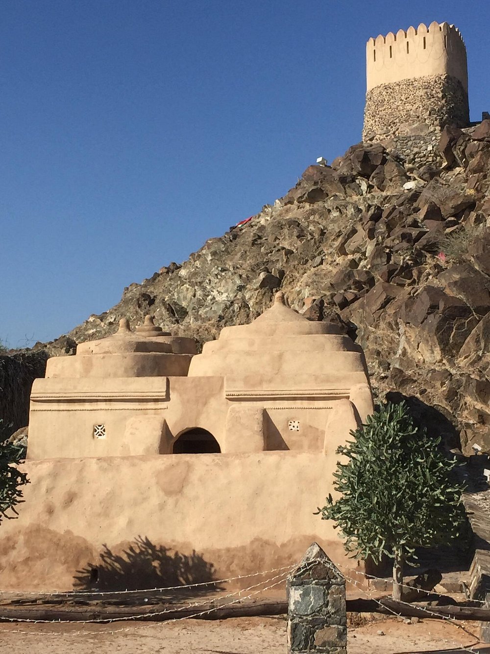 From Dubai: Private Fujairah and East Coast Tour with Al Badiyah Mosque and Forts