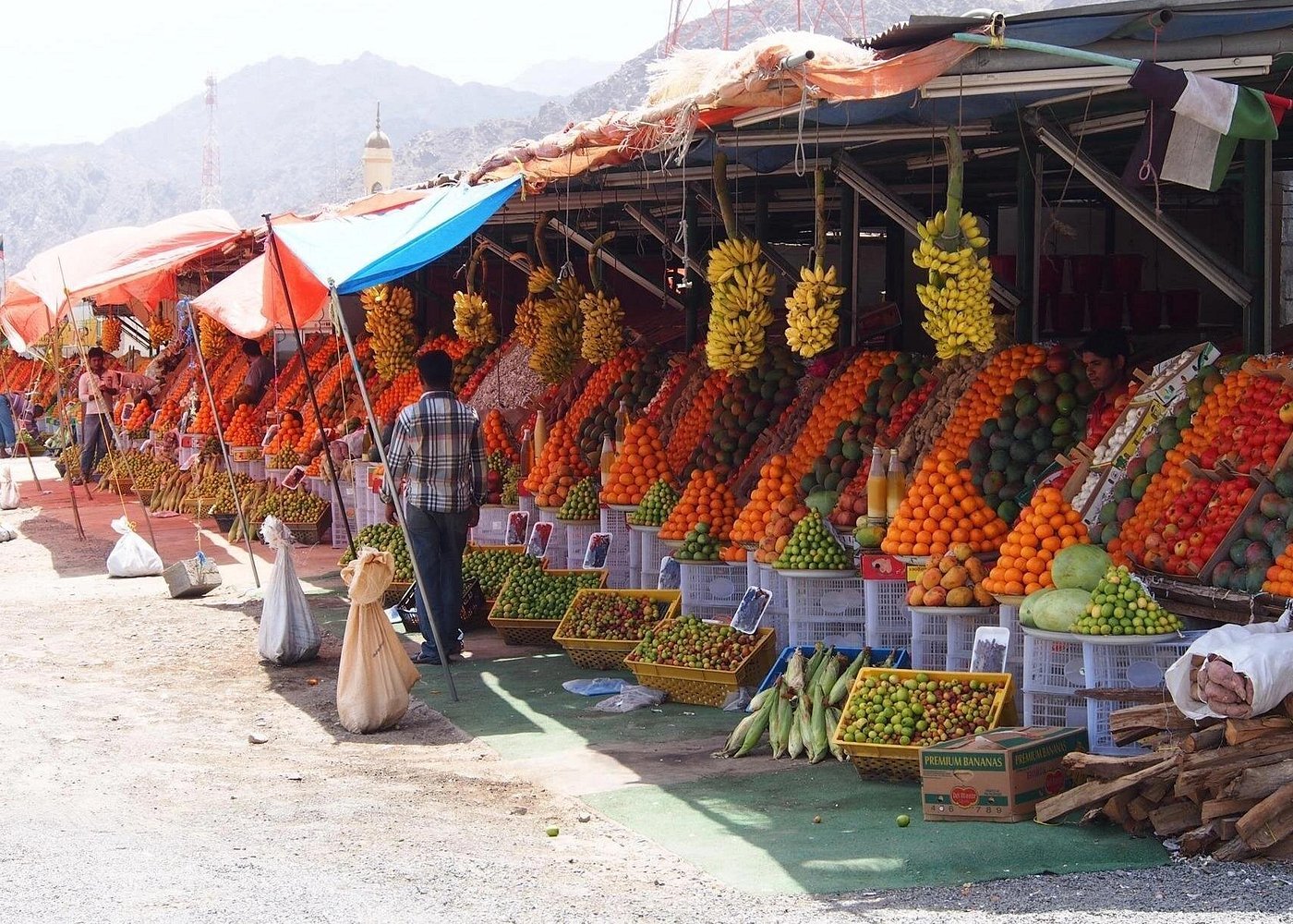 From Dubai: Private Fujairah and East Coast Tour with Al Badiyah Mosque and Forts