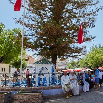 From Fez: Day Trip to Chefchaouen, the Blue City, with Scenic Stops