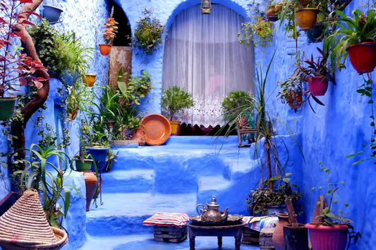 From Fez: Day Trip to Chefchaouen, the Blue City, with Scenic Stops
