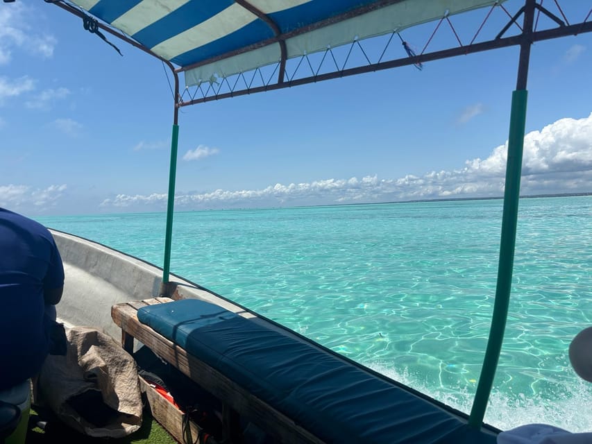 From Kendwa: Mnemba Boat Trip and Dolphin Snorkel Tour