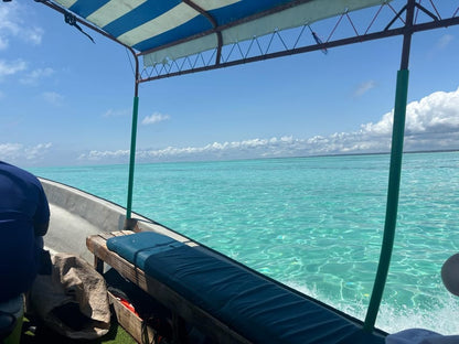 From Kendwa: Mnemba Boat Trip and Dolphin Snorkel Tour