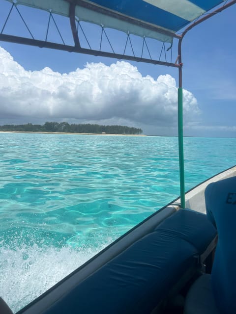 From Kendwa: Mnemba Boat Trip and Dolphin Snorkel Tour