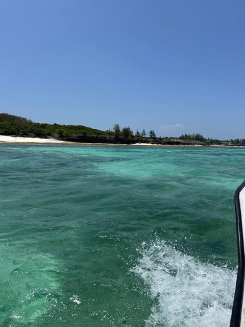 From Kendwa: Mnemba Boat Trip and Dolphin Snorkel Tour