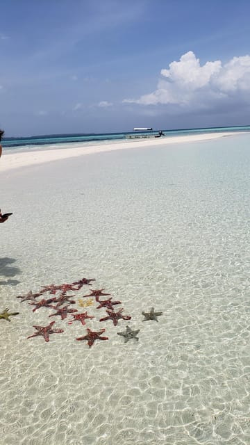 From Kendwa: Mnemba Boat Trip and Dolphin Snorkel Tour