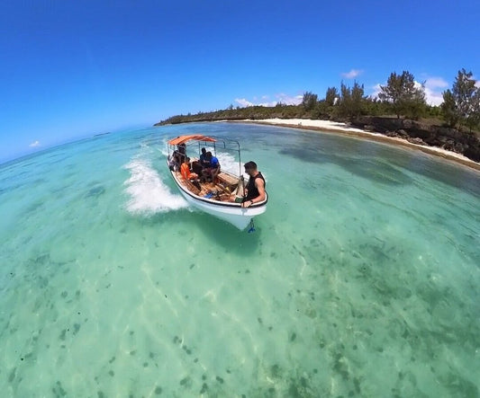 From Kendwa: Mnemba Boat Trip and Dolphin Snorkel Tour