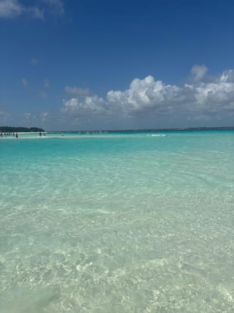 From Kendwa: Mnemba Boat Trip and Dolphin Snorkel Tour