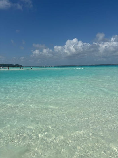 From Kendwa: Mnemba Boat Trip and Dolphin Snorkel Tour