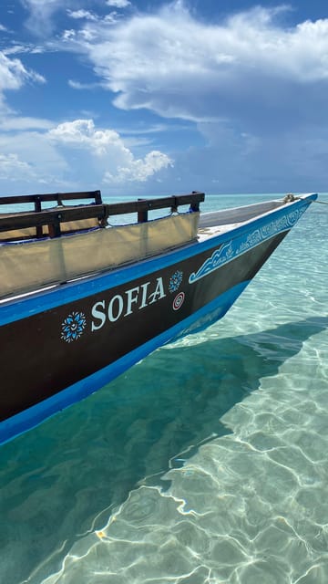 From Kendwa: Mnemba Boat Trip and Dolphin Snorkel Tour