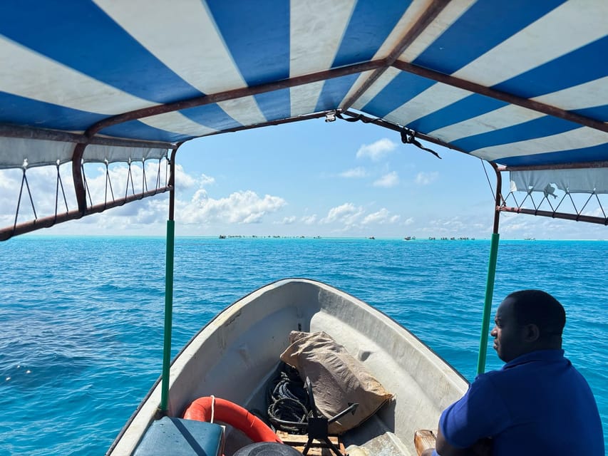 From Kendwa: Mnemba Boat Trip and Dolphin Snorkel Tour