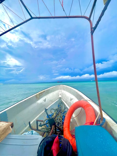 From Kendwa: Mnemba Boat Trip and Dolphin Snorkel Tour