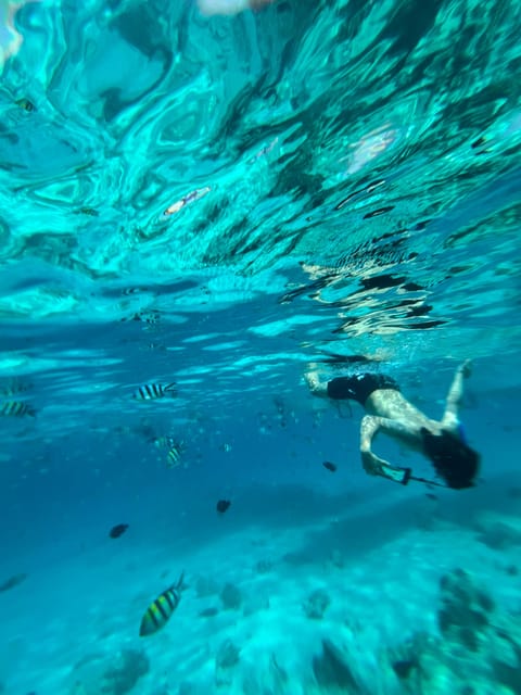 From Kendwa: Mnemba Boat Trip and Dolphin Snorkel Tour