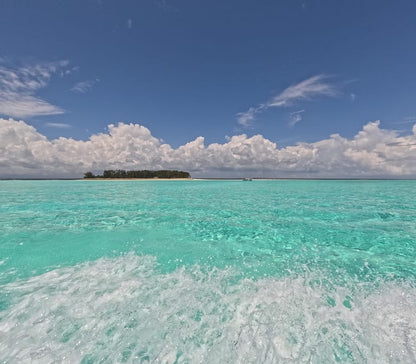 From Kendwa: Mnemba Boat Trip and Dolphin Snorkel Tour