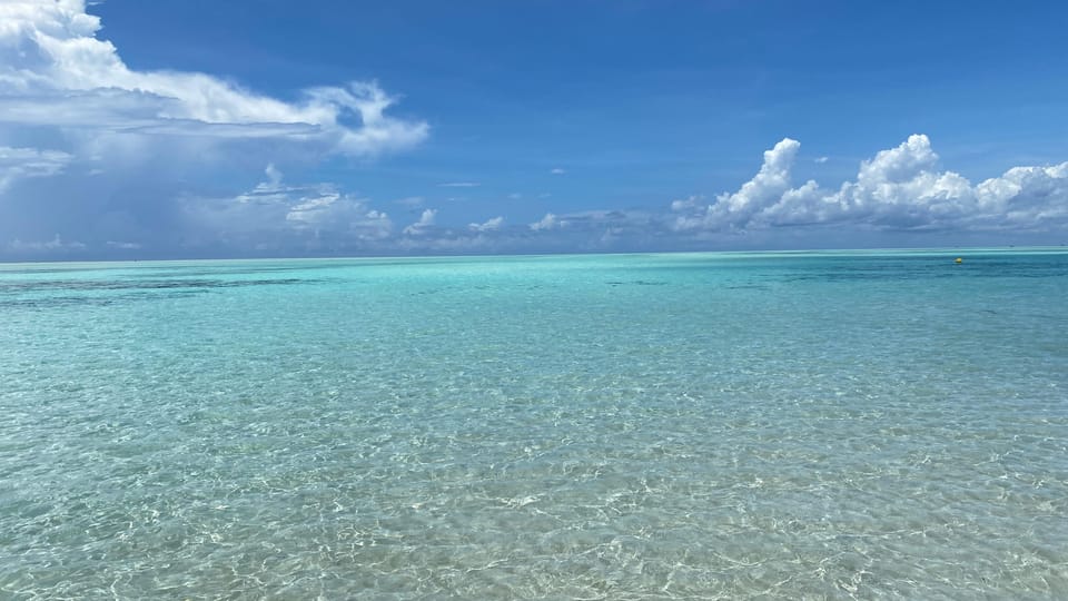 From Kendwa: Mnemba Boat Trip and Dolphin Snorkel Tour