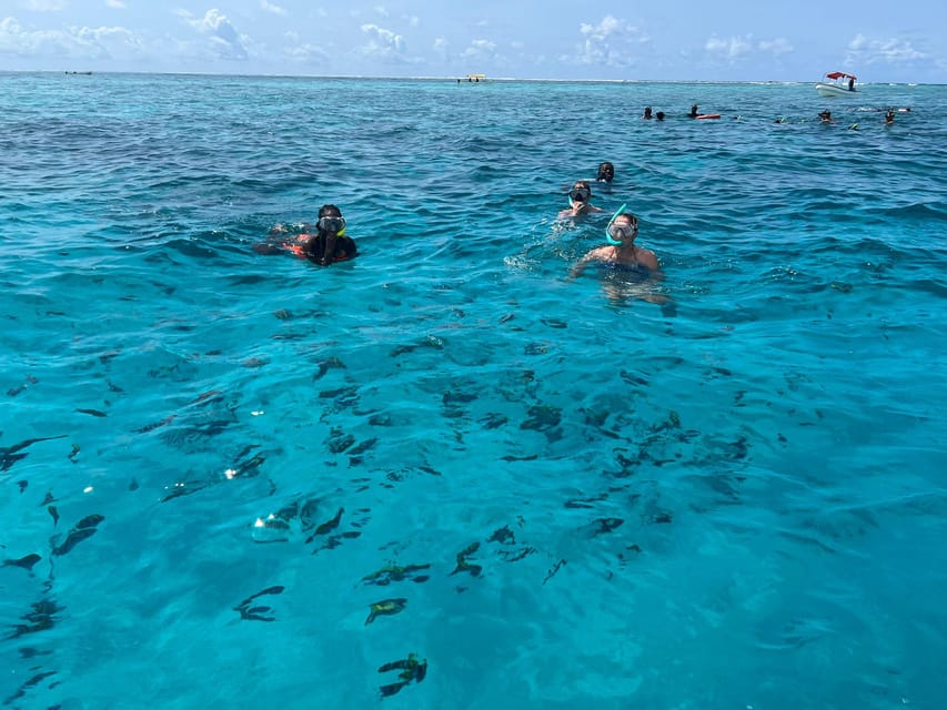 From Kendwa: Mnemba Boat Trip and Dolphin Snorkel Tour
