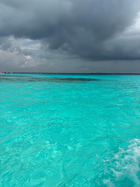 From Kendwa: Mnemba Boat Trip and Dolphin Snorkel Tour