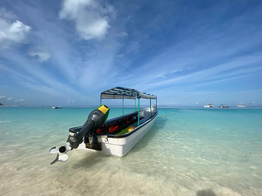 From Kendwa: Mnemba Boat Trip and Dolphin Snorkel Tour