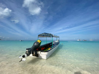 From Kendwa: Mnemba Boat Trip and Dolphin Snorkel Tour