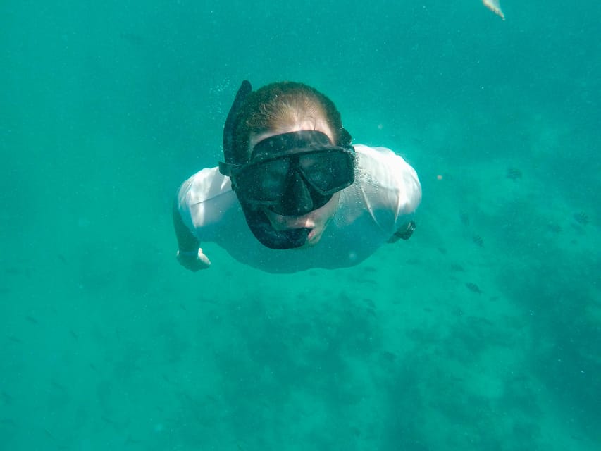 From Kendwa: Mnemba Boat Trip and Dolphin Snorkel Tour