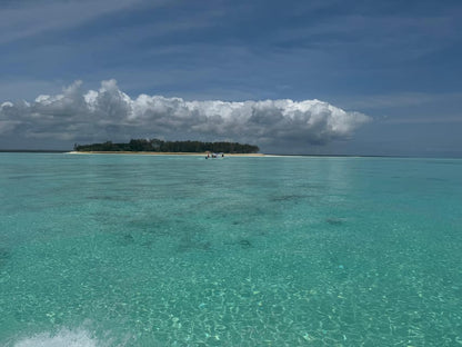 From Kendwa: Mnemba Boat Trip and Dolphin Snorkel Tour