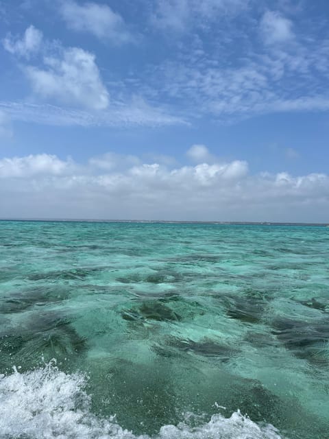 From Kendwa: Mnemba Boat Trip and Dolphin Snorkel Tour