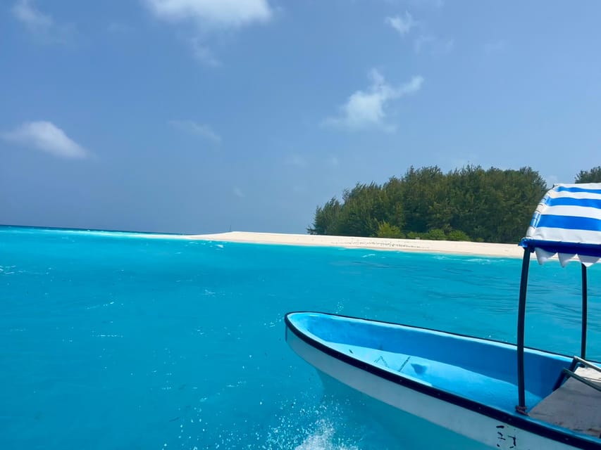 From Kendwa: Mnemba Boat Trip and Dolphin Snorkel Tour