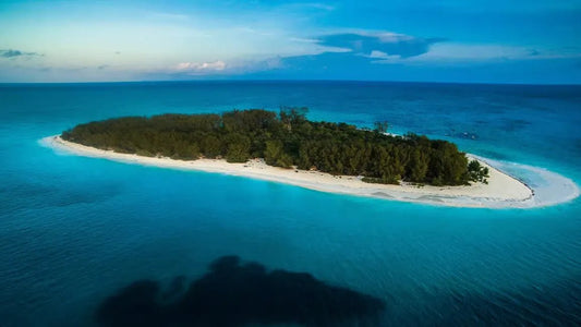 From Kendwa or Nungwi: Mnemba Island Dolphin and Snorkeling Tour in Zanzibar