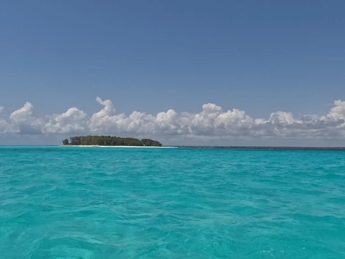 From Kendwa or Nungwi: Mnemba Island Dolphin and Snorkeling Tour in Zanzibar