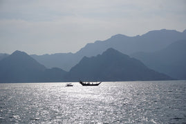 From Khasab: Half - Day Musandam Fjords Dhow Cruise