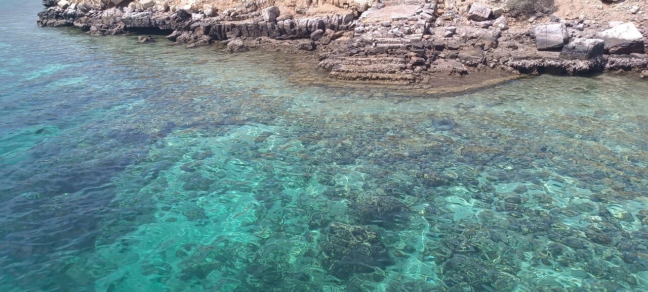 From Khasab: Half - Day Musandam Fjords Dhow Cruise