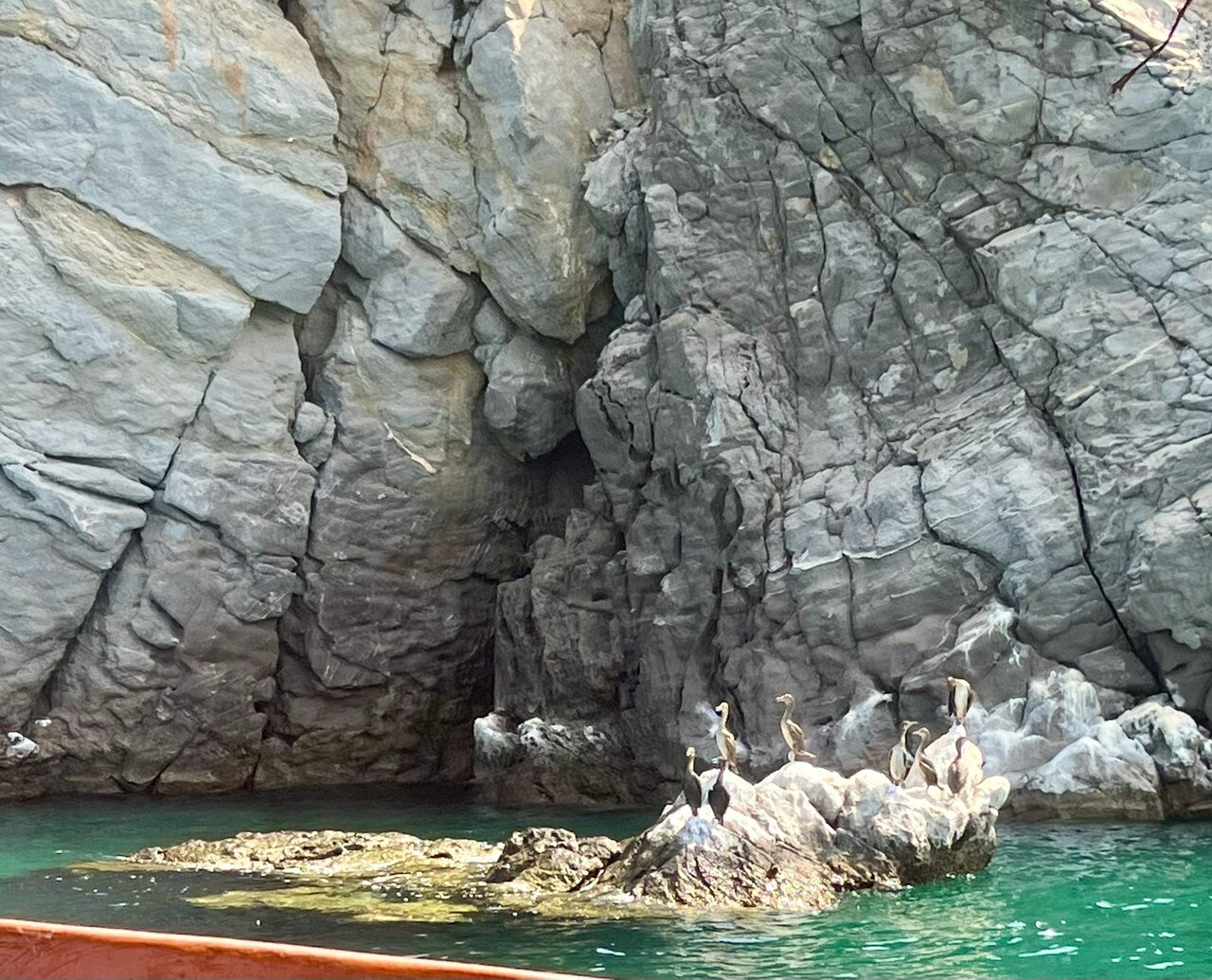 From Khasab: Half - Day Musandam Fjords Dhow Cruise