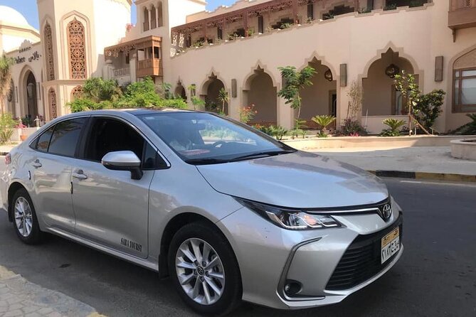 From Luxor: Private Transfer to Aswan with Optional Temple Visits