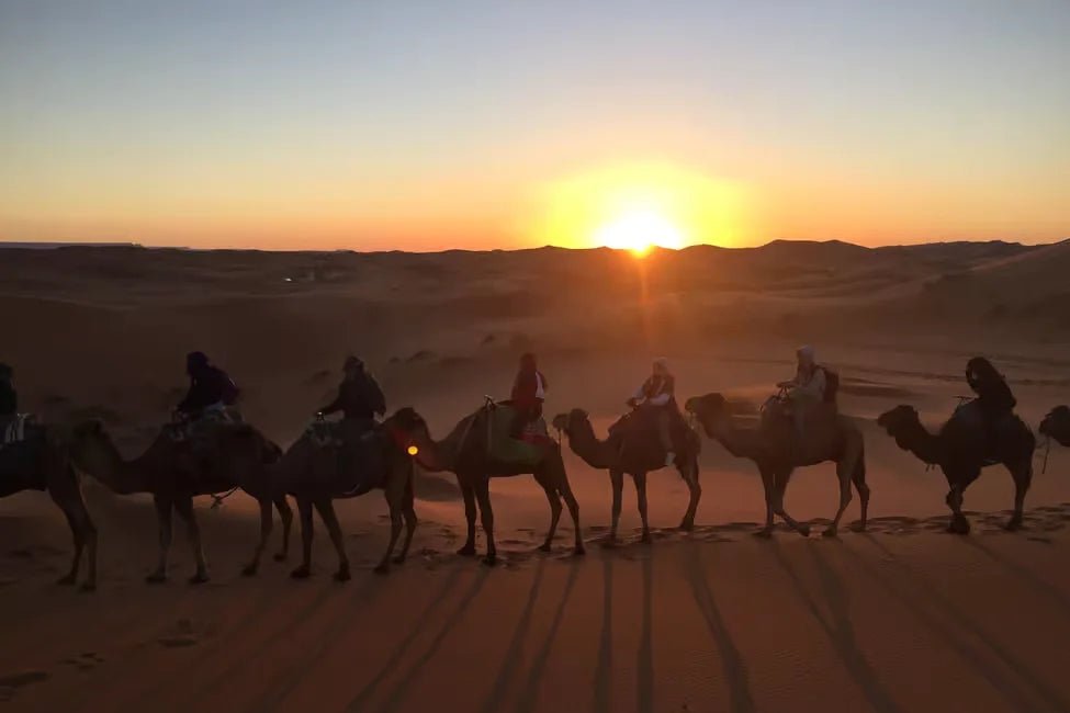 From Marrakech: 2 - Days Zagora Desert Tour with Camel Trek
