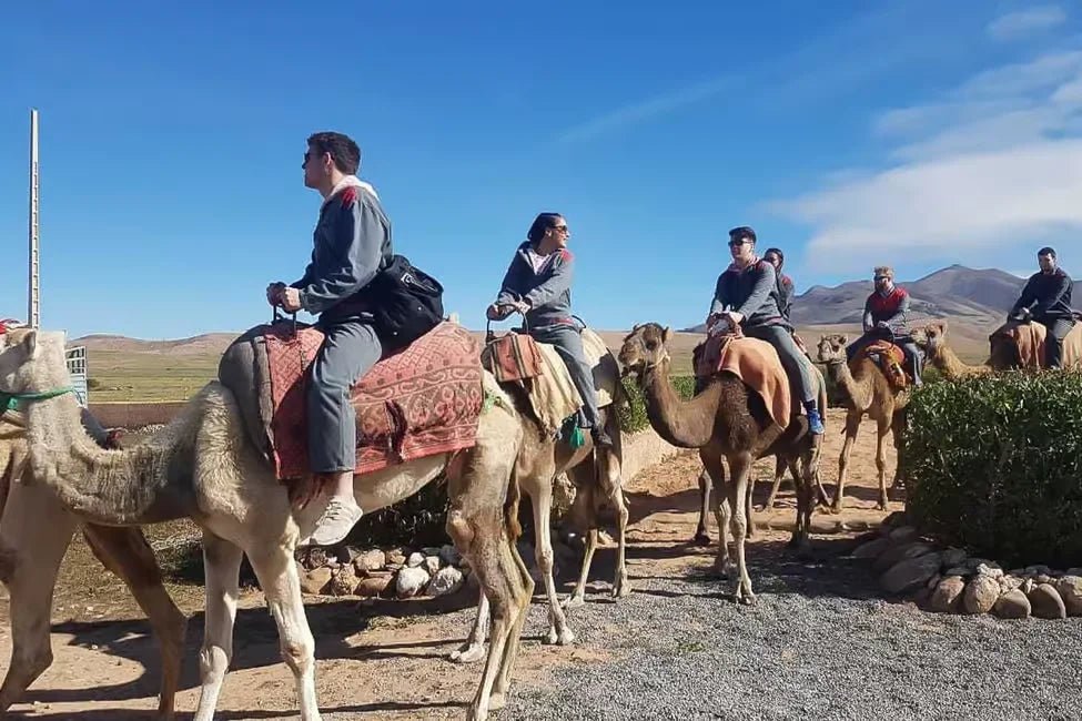 From Marrakech: Agafay Desert Camel Ride and Quad Bike Tour
