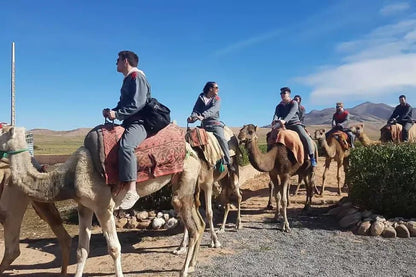 From Marrakech: Agafay Desert Camel Ride and Quad Bike Tour