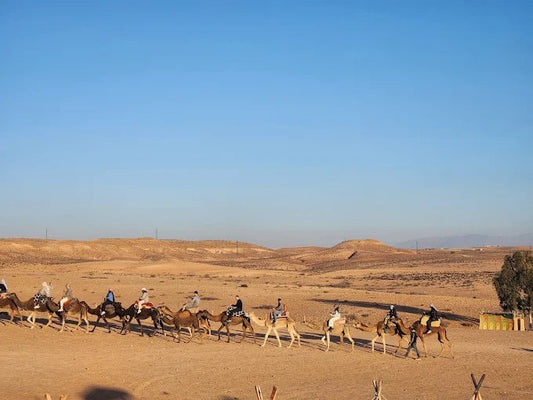 From Marrakech: Agafay Desert Camel Ride, Swimming, and Lunch