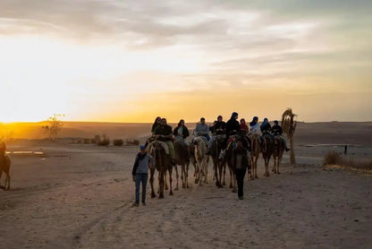 From Marrakech: Agafay Desert Quad Bike and Camel Ride Tour with Tea and Hotel Transfers